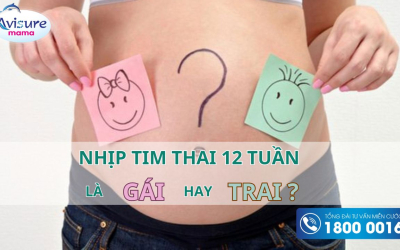 Nhịp tim thai 12 tuần biết trai hay gái không?